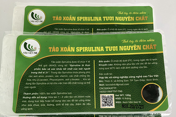 Tảo xoắn Spirulina tươi 